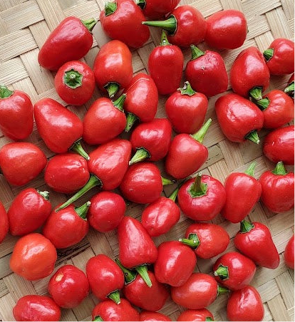 Hot Chili Pickle/Akhbare ko Aachar