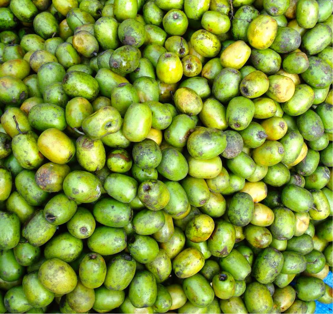 Dried Hot Plum / Lapsi Powder