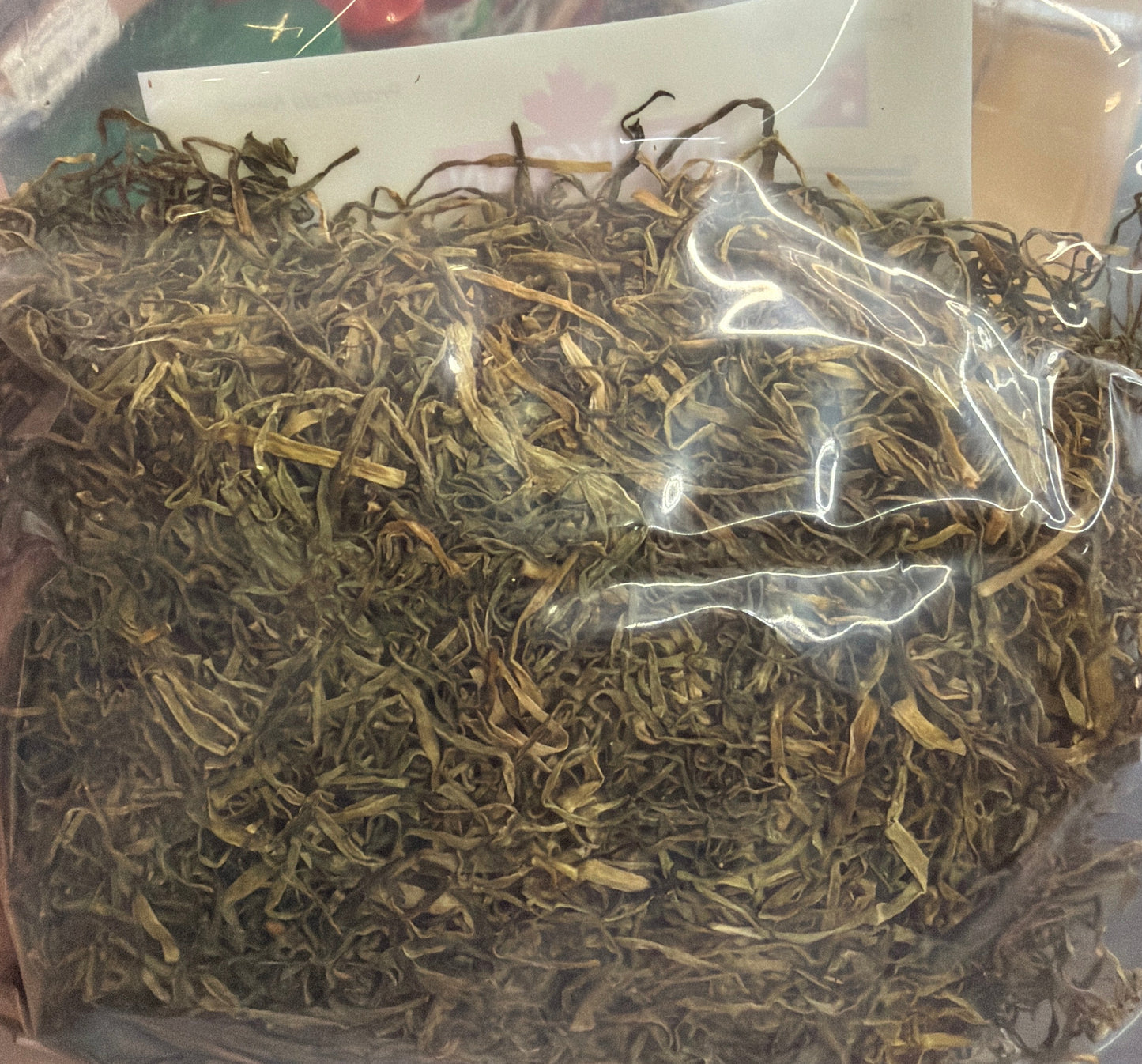 Allium Hypsistum/ Jimmu